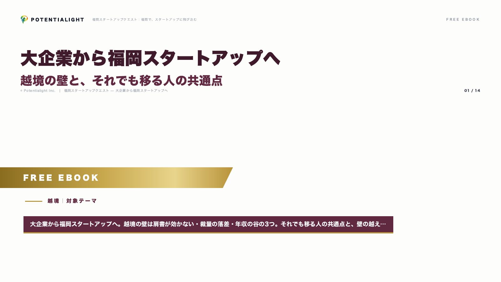 大企業からの越境 eBook表紙