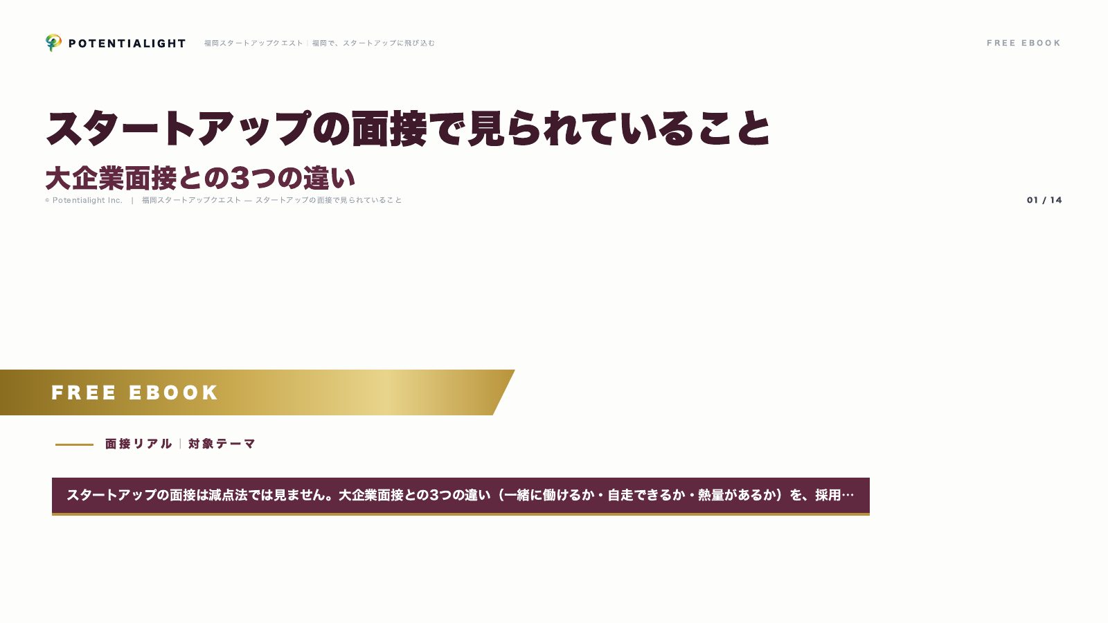スタートアップの面接 eBook表紙