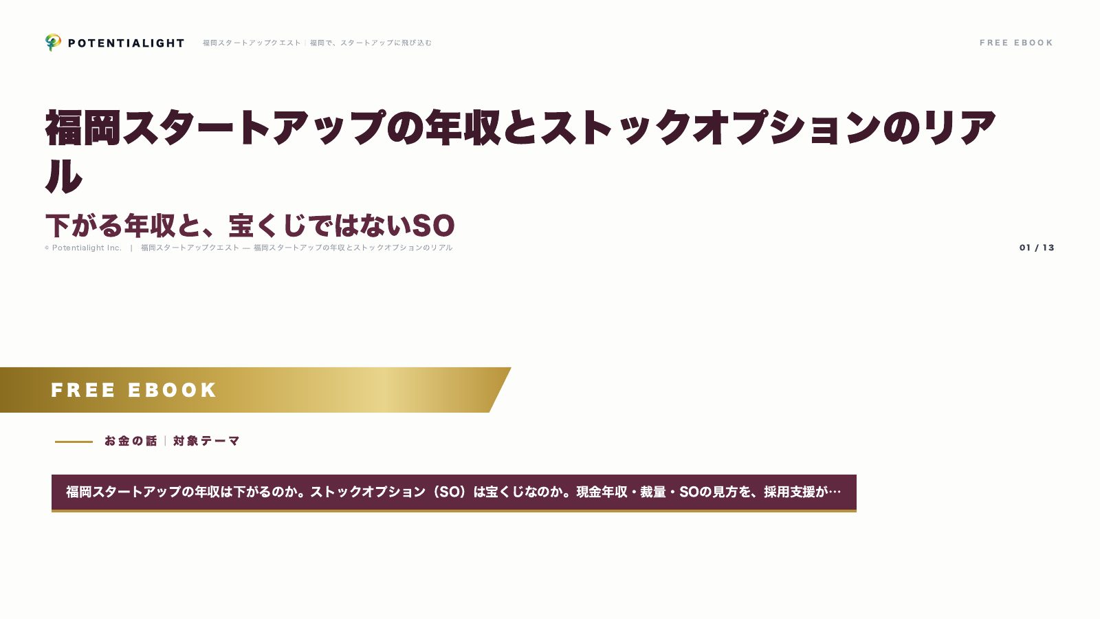 年収とストックオプション eBook表紙