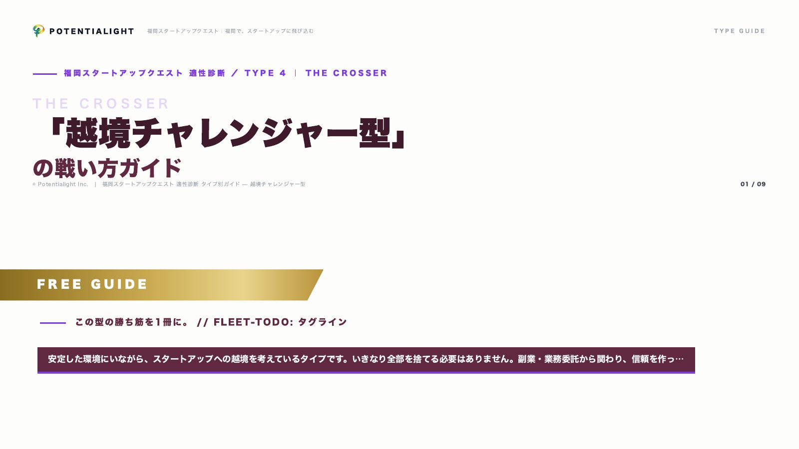 越境チャレンジャー型の戦い方ガイド 表紙
